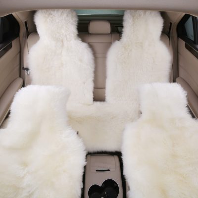 Full set of sheepskin car seat cover (1)